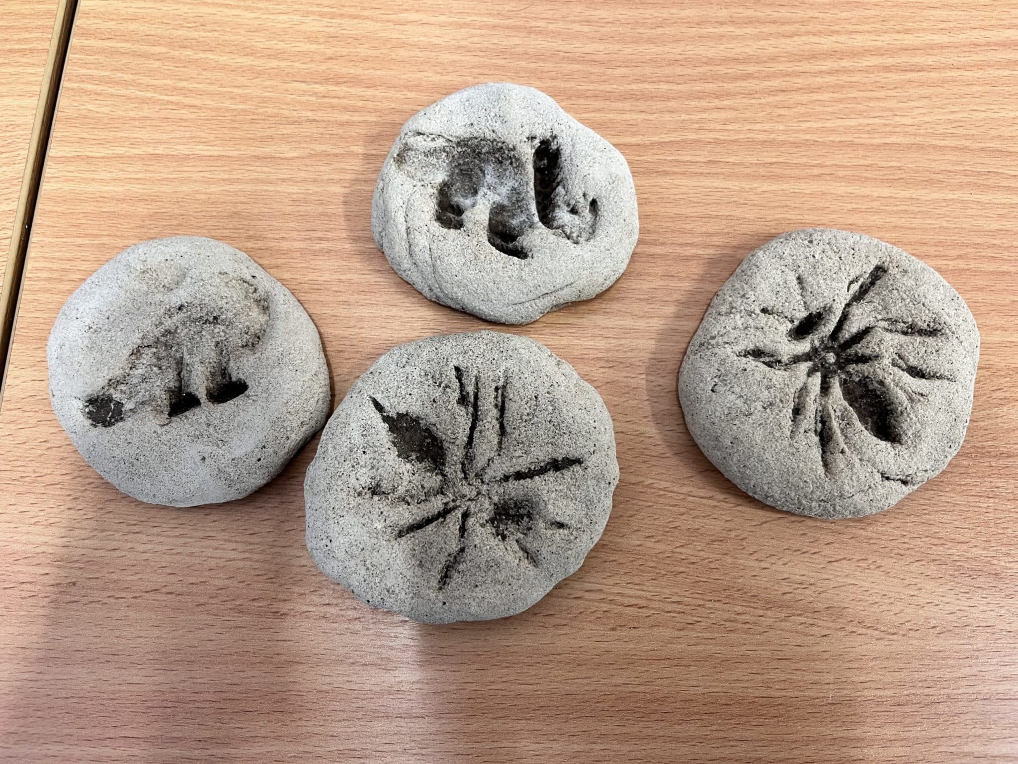 Fun with Fossils - Pirton School